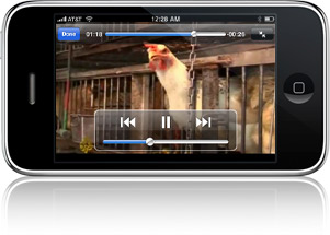 Videos play directly within the application